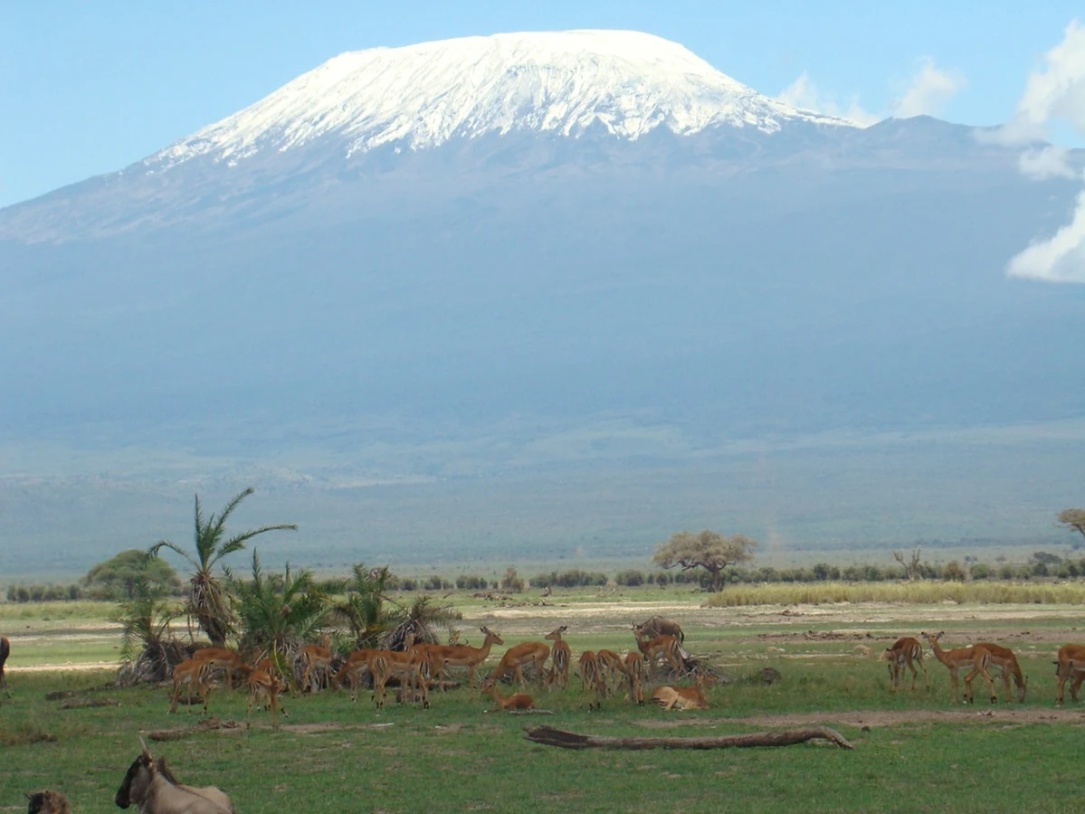 Summit Kilimanjaro at sunrise