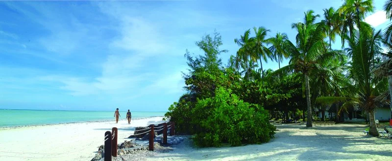 Diani Beach — post-safari wind-down