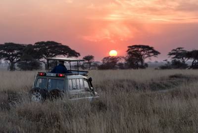 Masai Mara savannah