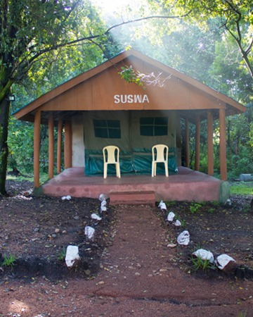 Camp in a forest setting