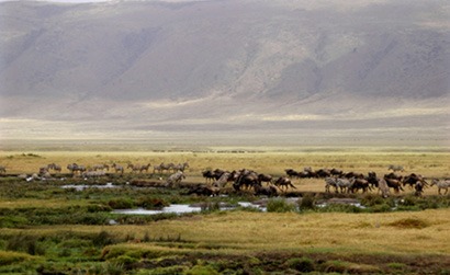 Ngorongoro Conservation Area in Tanzania