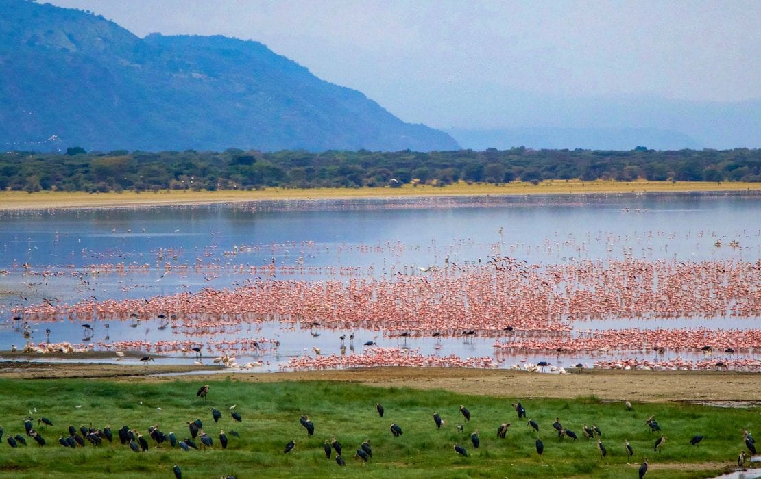 6 Days Lake Manyara/Ngorongoro/Serengeti Safari in Tanzania